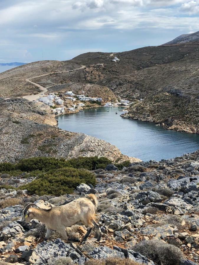 Sifnos Sea Lovers Cherronisos  Exteriér fotografie